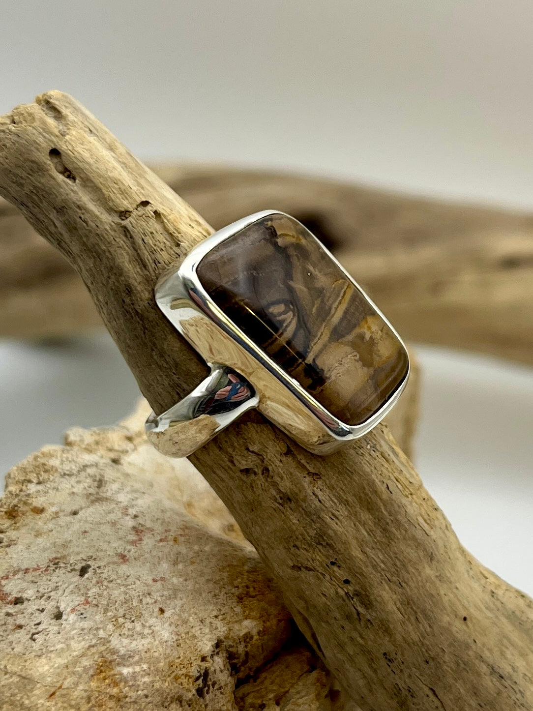 Grounded Petrified Wood Ring