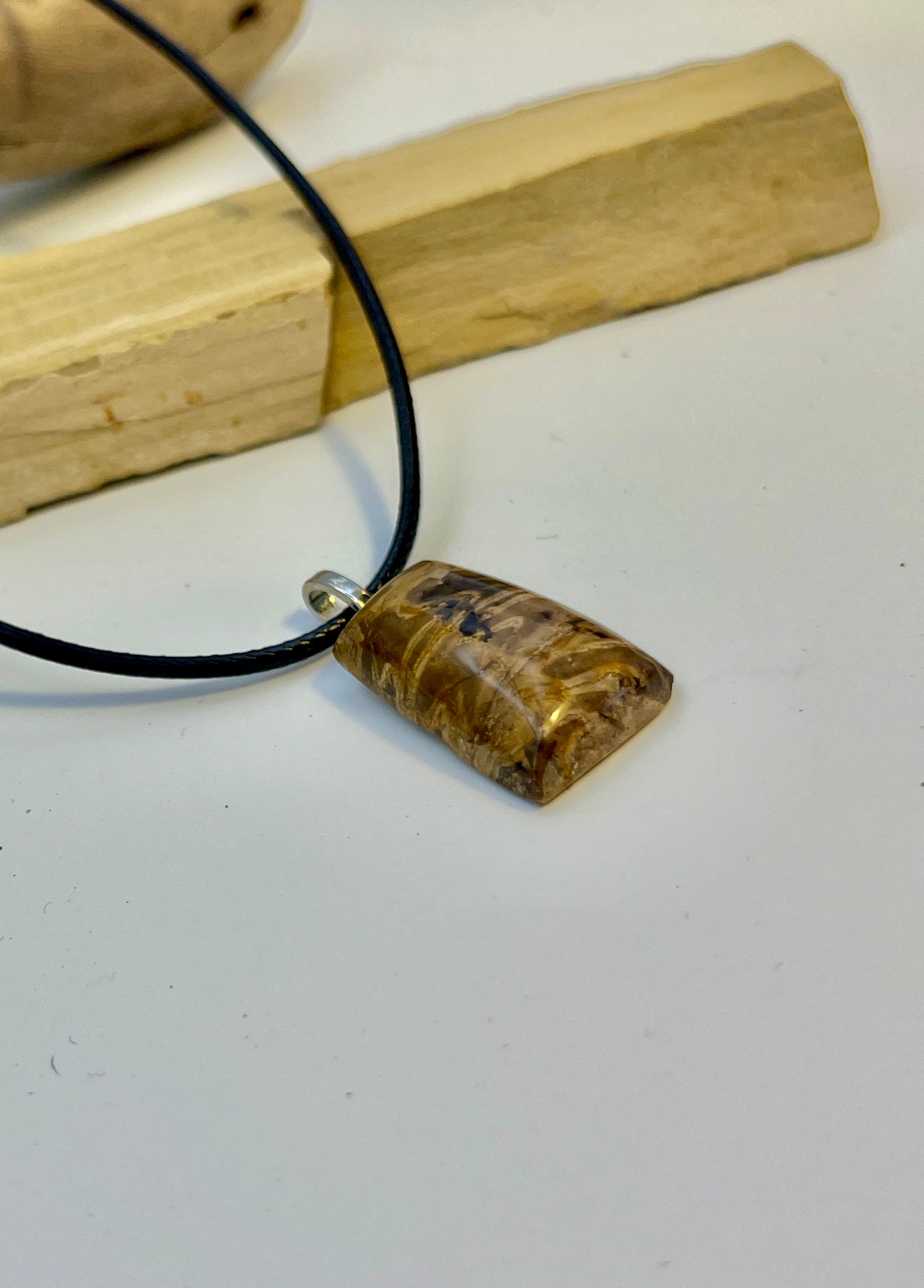 Peppy Petrified Wood Pendant