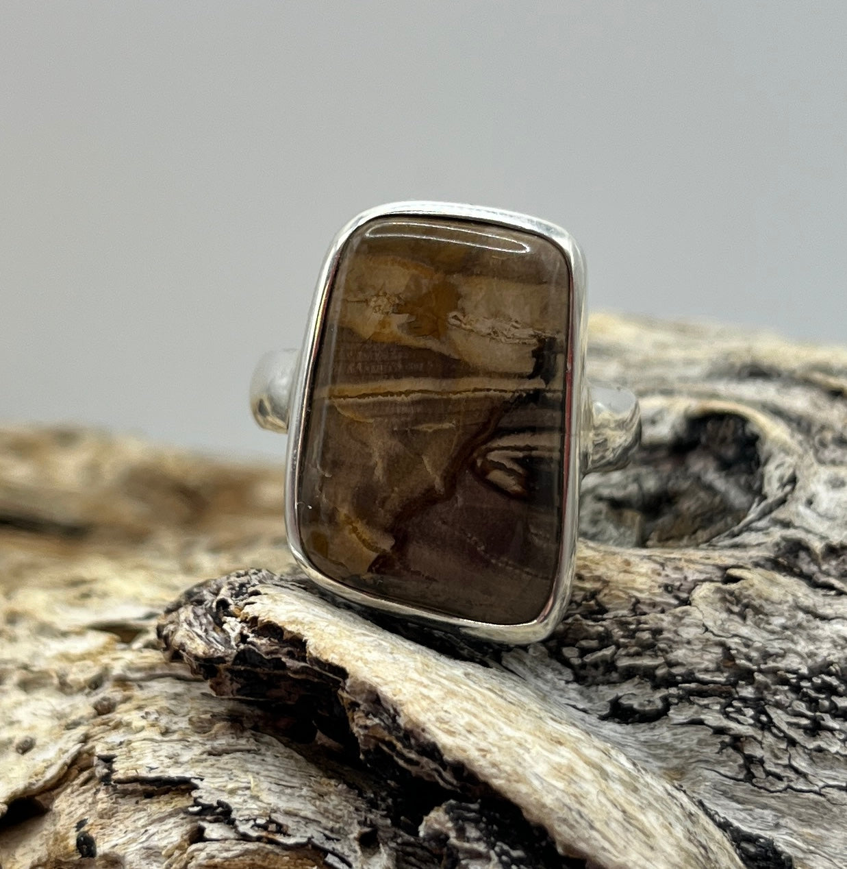 Earthly Petrified Wood Ring