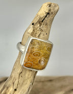 Ancient Petrified Fern Ring