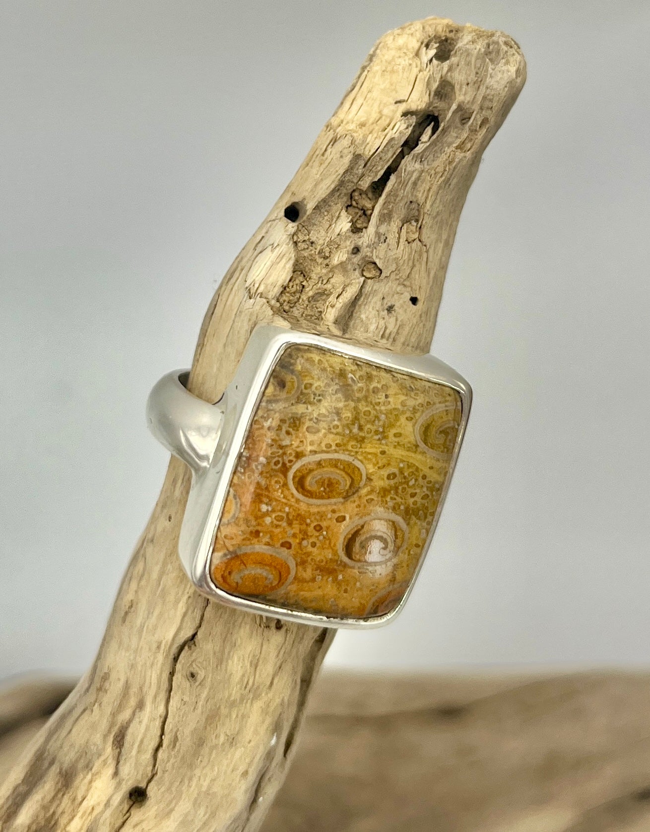 Ancient Petrified Fern Ring