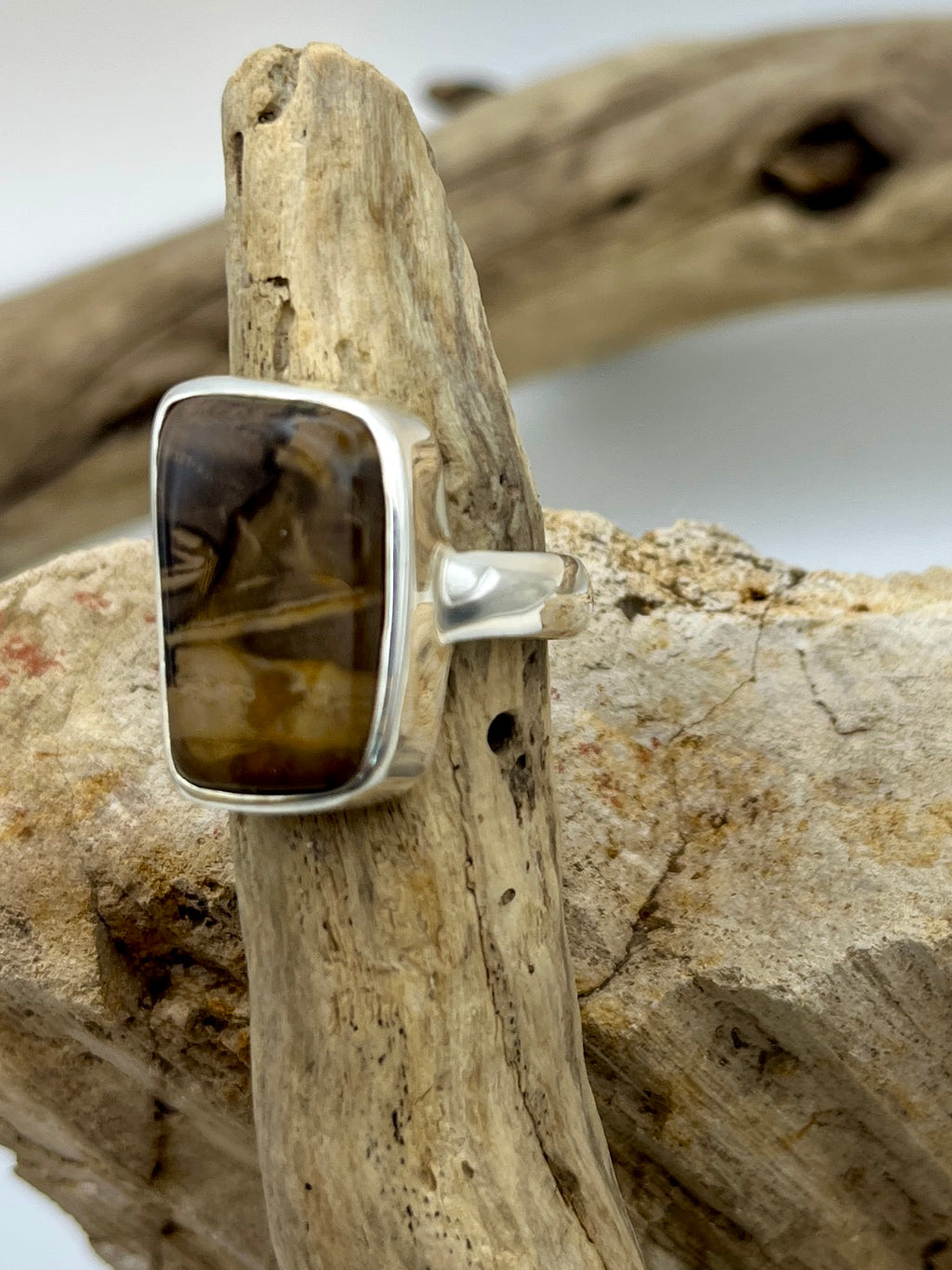 Grounded Petrified Wood Ring