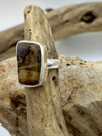 Grounded Petrified Wood Ring
