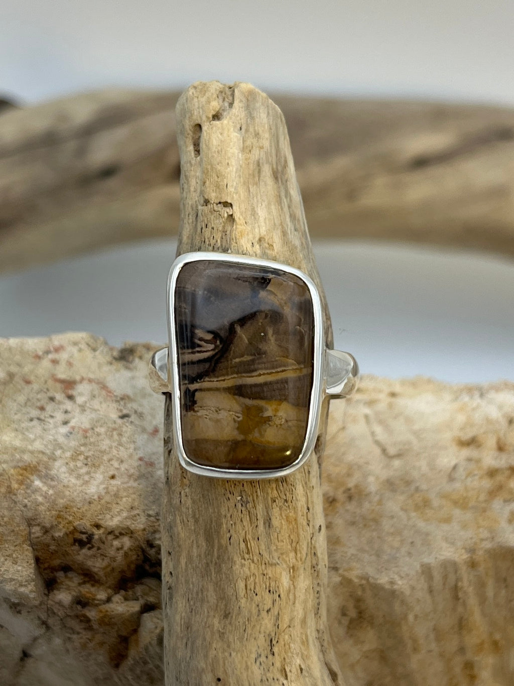 Grounded Petrified Wood Ring