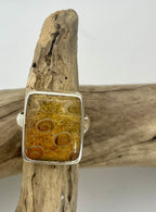 Ancient Petrified Fern Ring