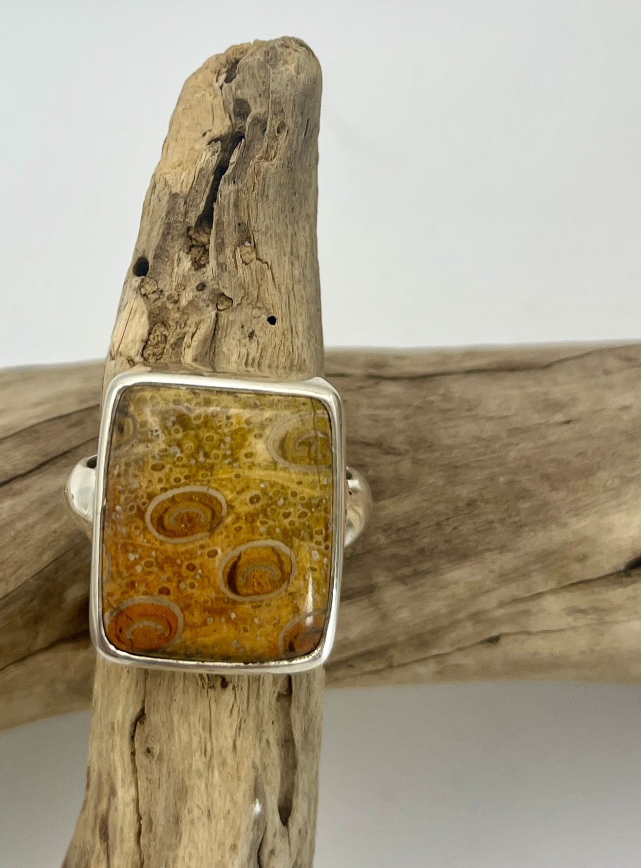 Ancient Petrified Fern Ring