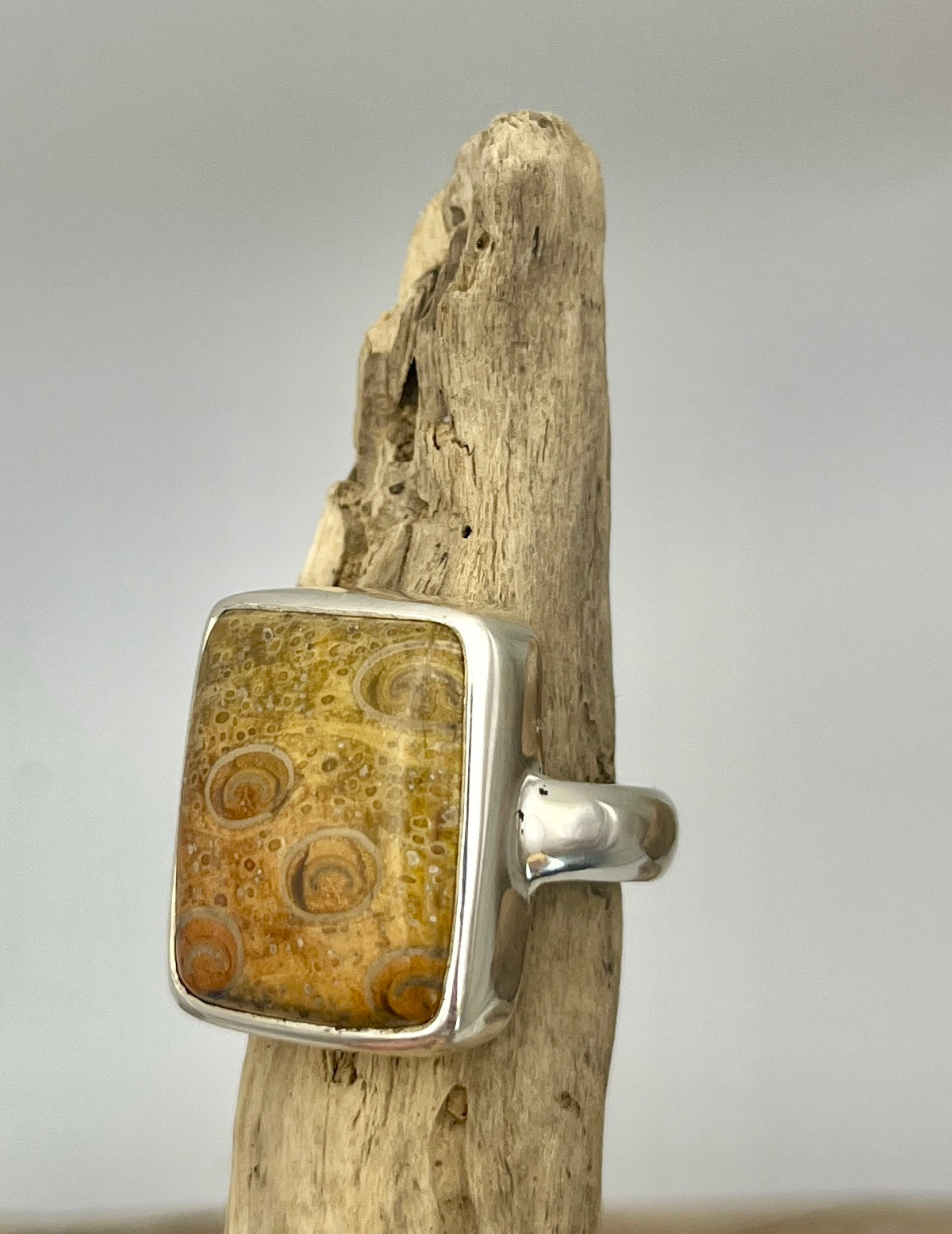 Ancient Petrified Fern Ring