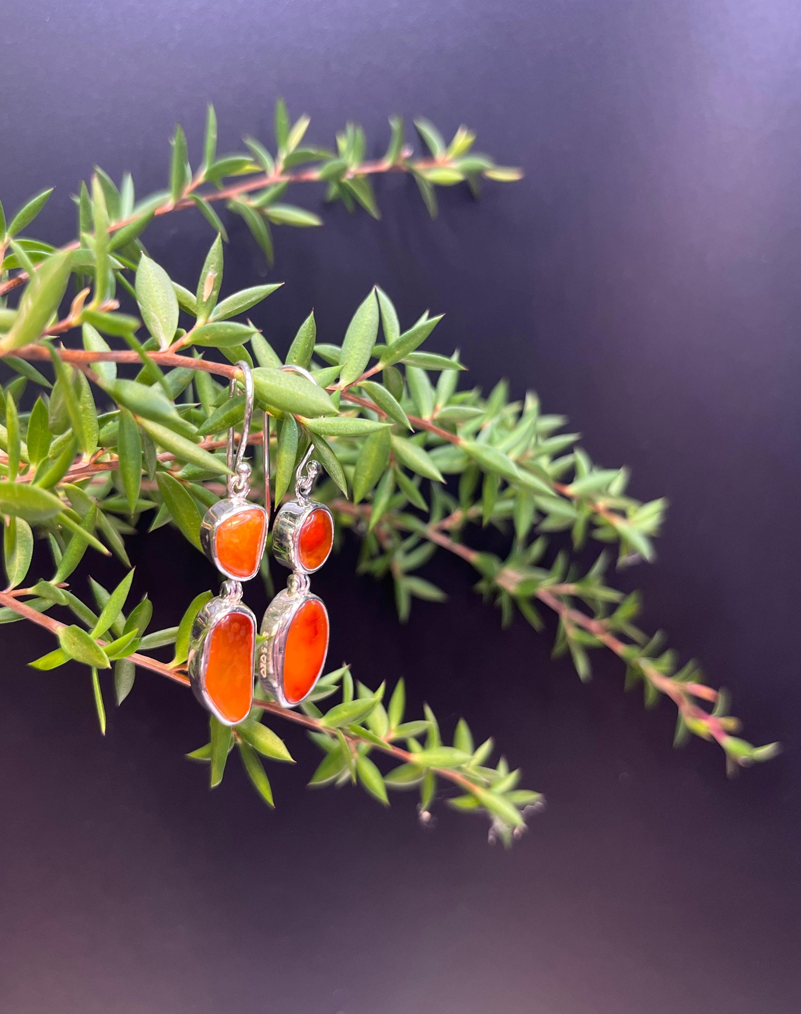 Lune River Carnelian Earrings