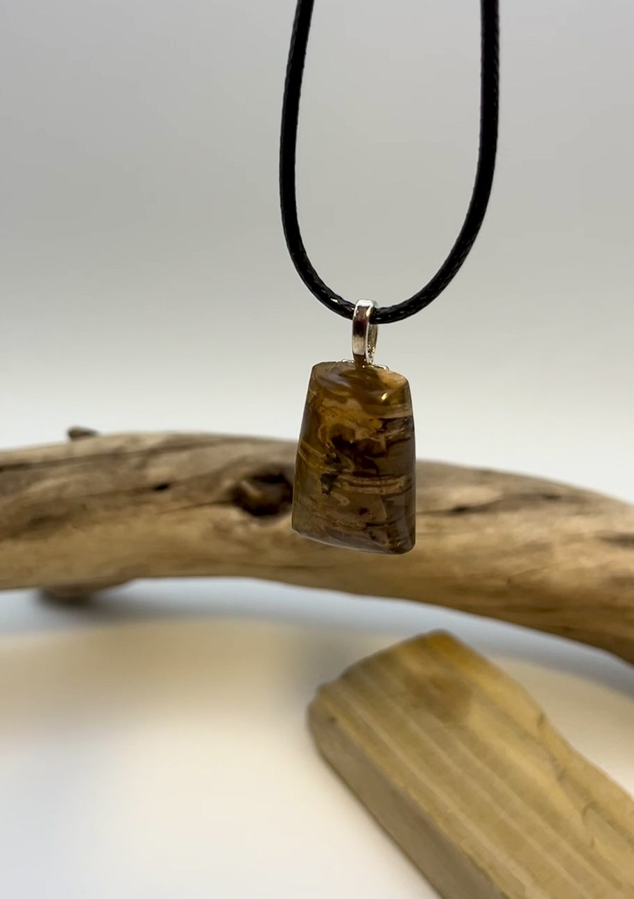 Peppy Petrified Wood Pendant