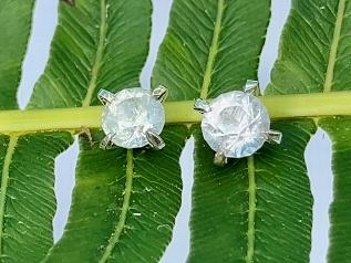 Lovely Gorgeous Salt n Peppa Topaz Studs